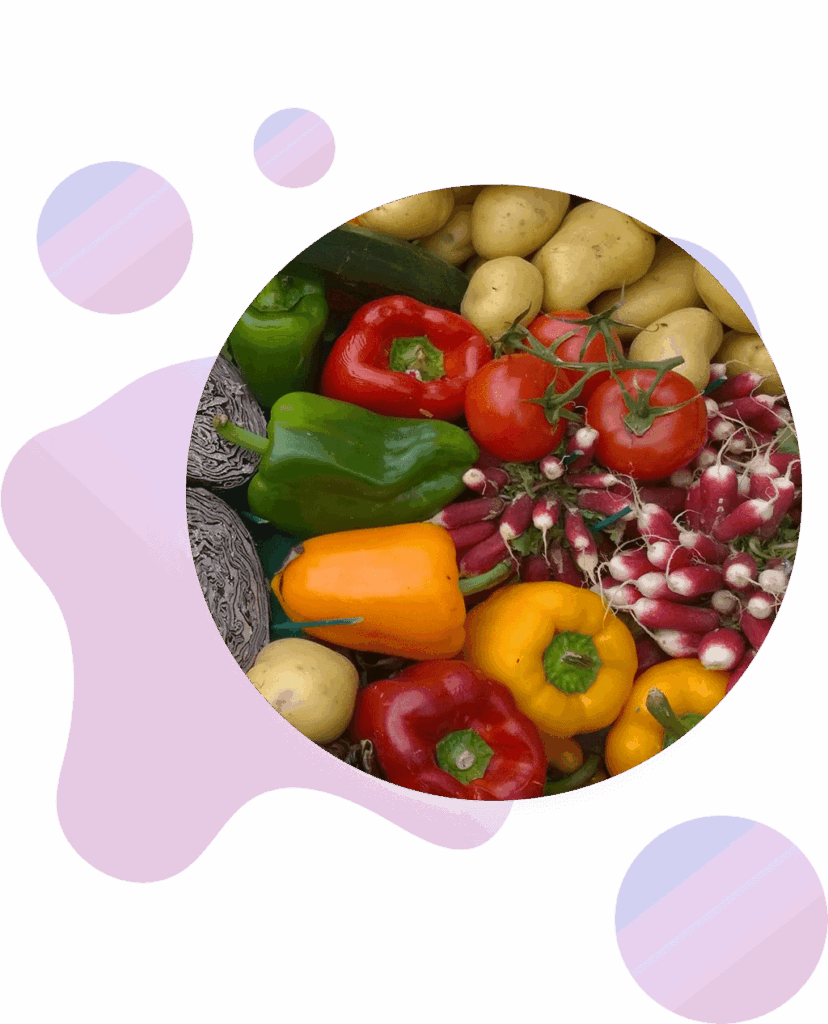 A colorful assortment of fresh vegetables, including red, green, and yellow bell peppers, potatoes, tomatoes on the vine, radishes, and a cabbage, displayed in a circular frame with abstract pastel shapes.